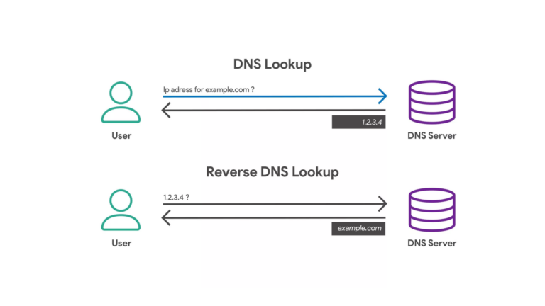 What is a reverse DNS lookup