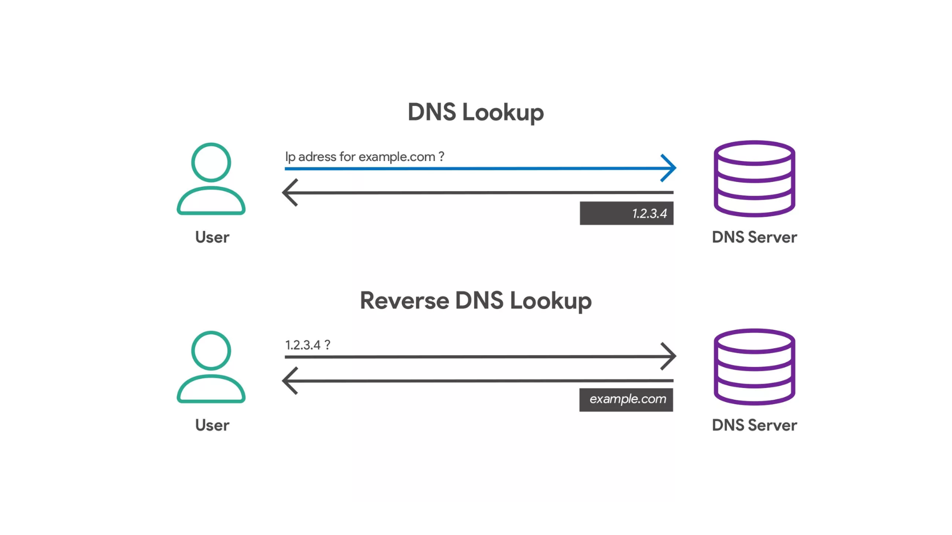 What is a reverse DNS lookup